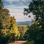 Serene dirt road in a lush forest leading to a distant mountain view under a bright blue sky.