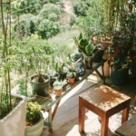 A serene balcony garden with diverse potted plants basking in warm sunlight, creating a peaceful outdoor retreat.