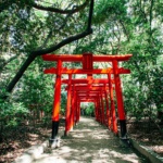 Majestic red Torii gates create a scenic pathway through a lush forest landscape.